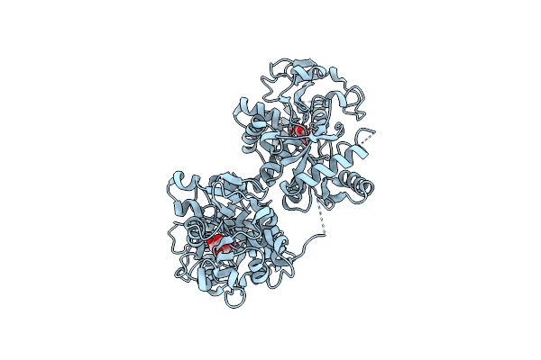 5H52 image