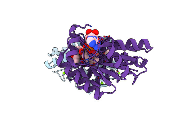 5H56 image
