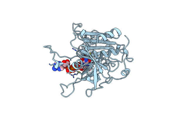 5H59 image