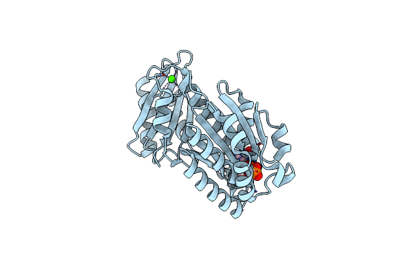 5H5H image