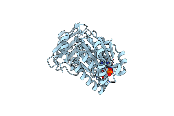 5H5I image