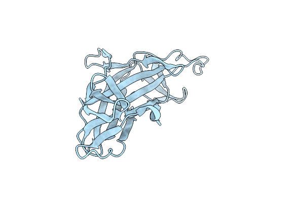 5H5P image