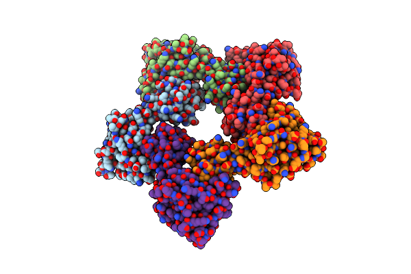5H5T image