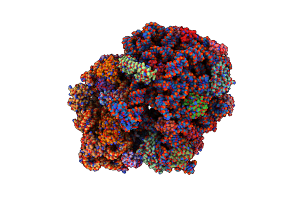 5H5U image