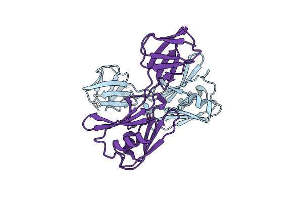 5H5W image
