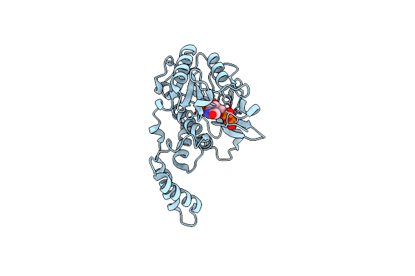 5H60 image