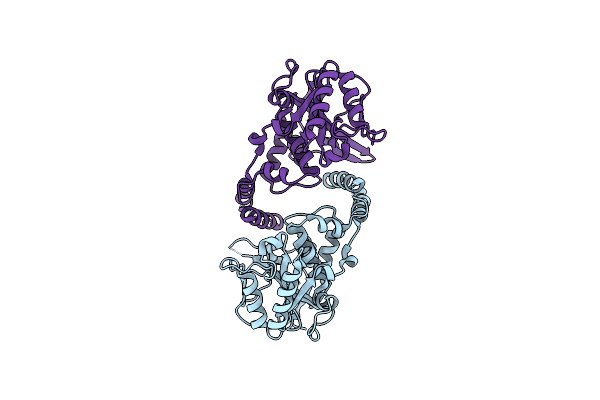 5H61 image