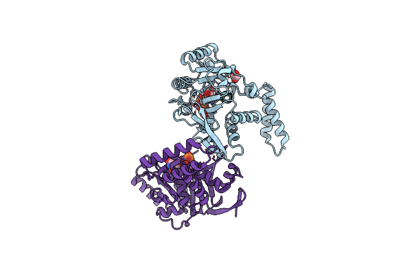 5H62 image