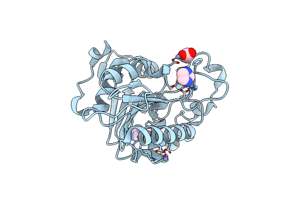 5H6B image