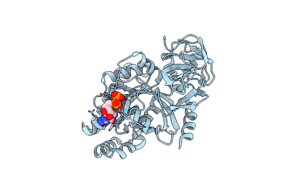5H7K image