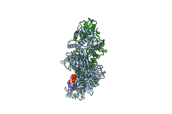 5H7L image