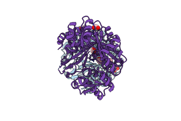 5H80 image