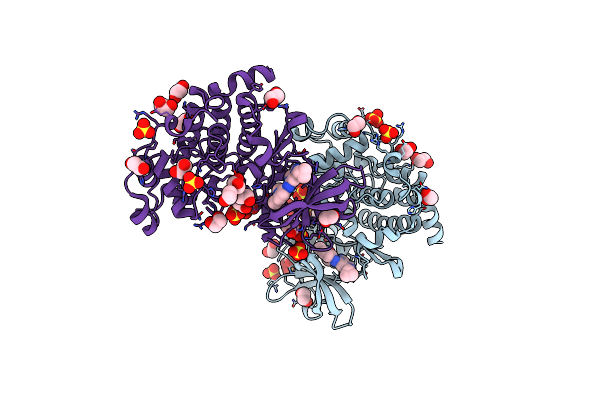 5H8B image