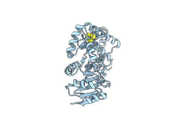 5H8C image