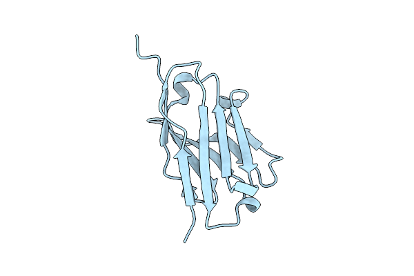 5H8D image