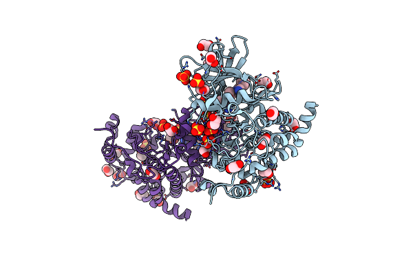 5H8E image