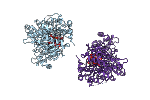 5H8V image