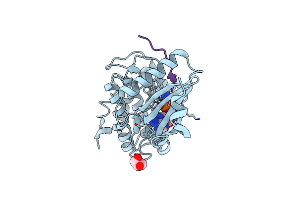 5H9B image