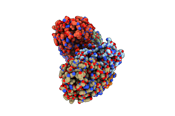 5H9D image