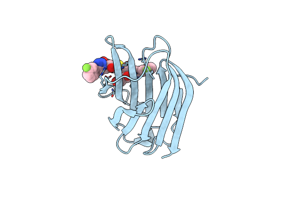 5H9P image