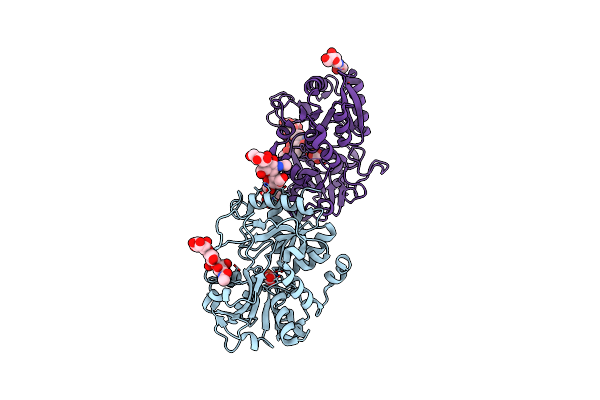 5HBC image