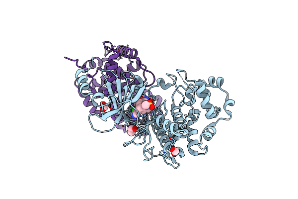 5HBE image
