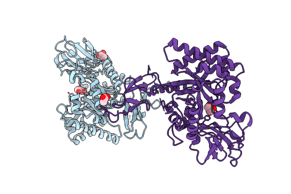 5HBF image