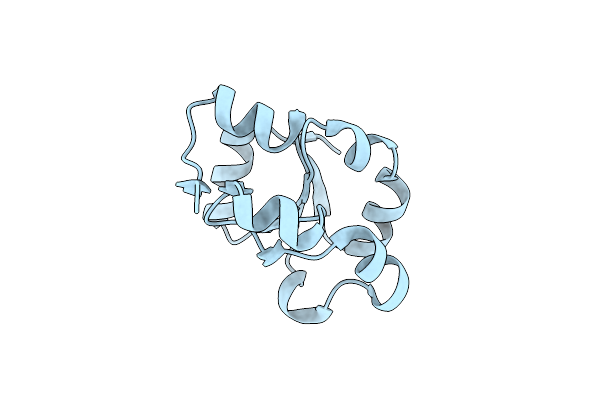 5HBP image