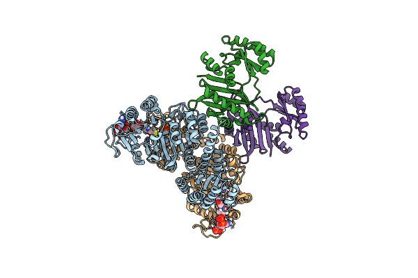 5HBR image