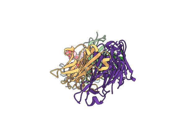 5HBT image
