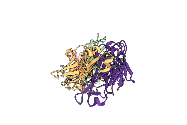 5HBV image
