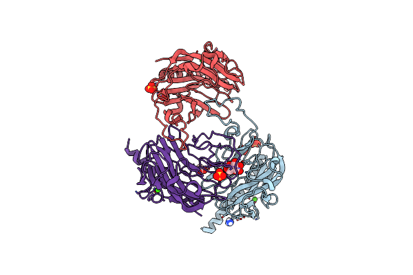 5HCA image