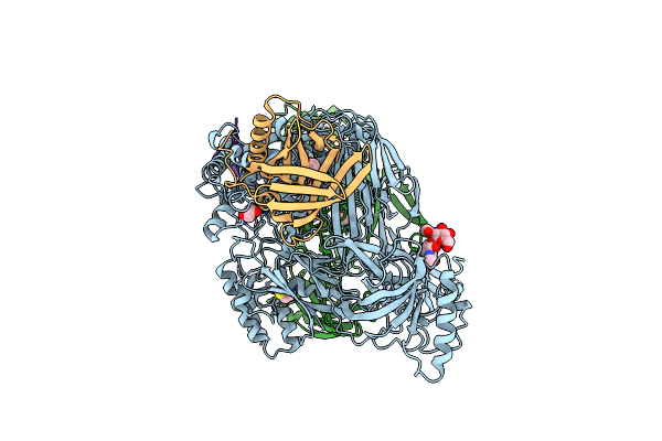5HCC image