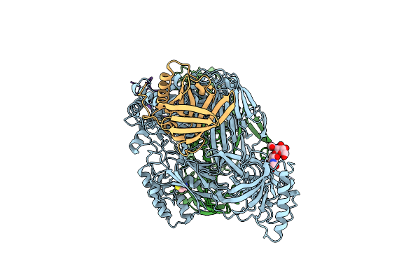 5HCE image