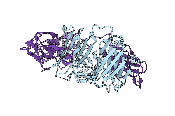 5HCG image