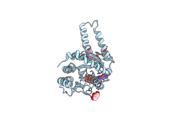 5HCN image