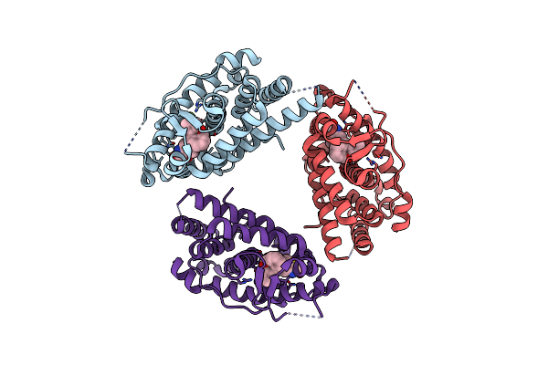 5HCV image