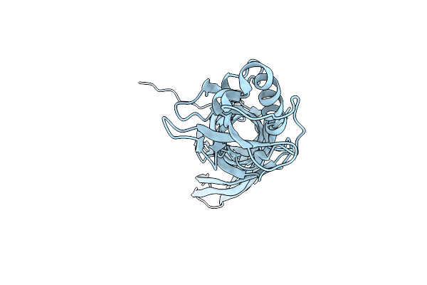 5HD2 image