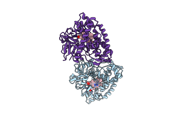 5HDI image