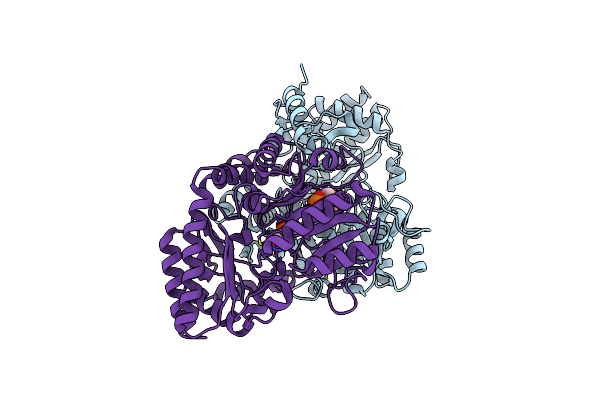 5HDM image
