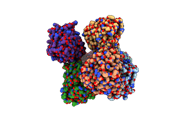 5HDP image