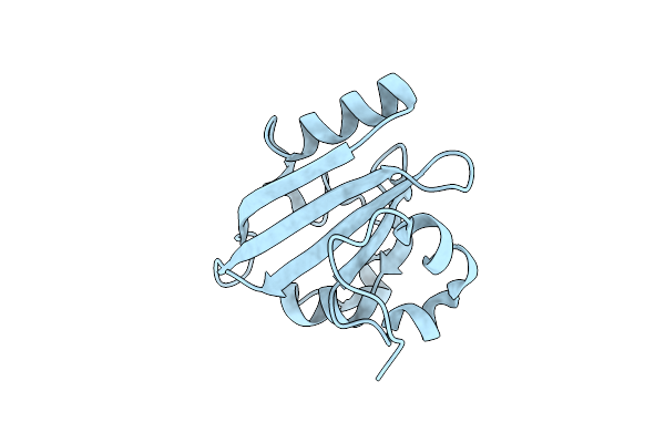 5HDS image