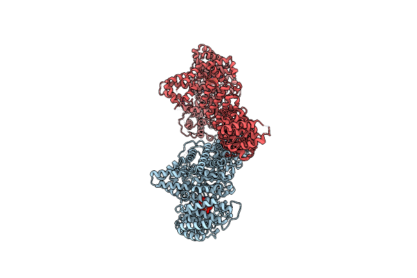 5HDT image