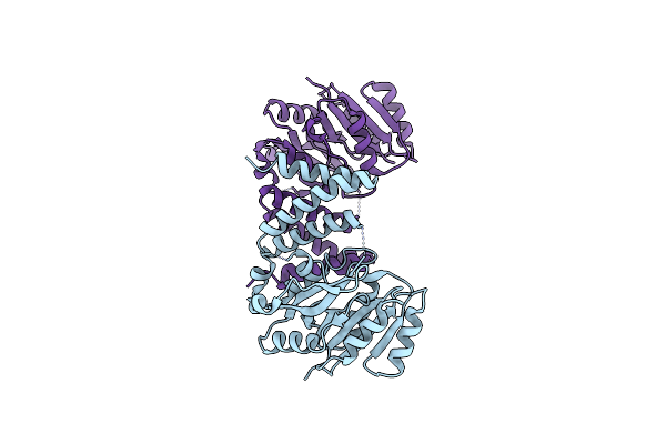 5HEC image