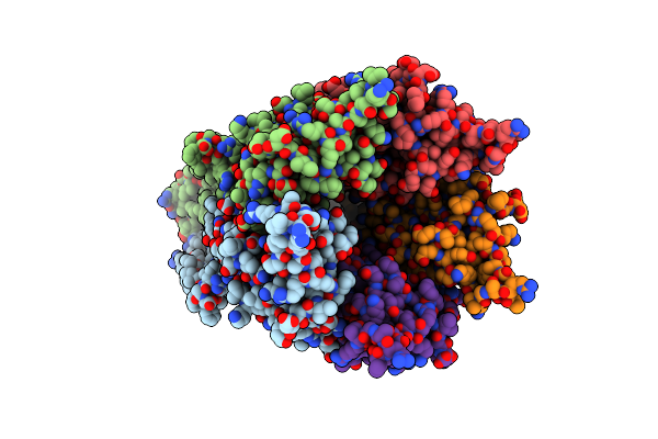 5HEG image