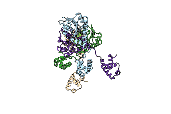 5HEV image