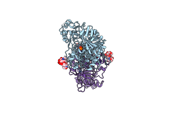 5HF6 image