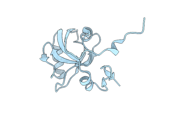 5HFD image