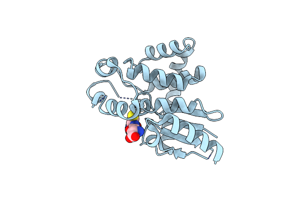 5HFI image