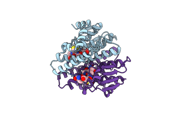 5HFK image